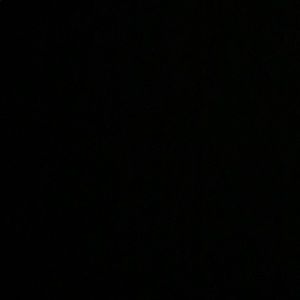 Meet your Posher, Celina